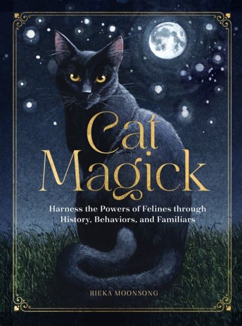 Witchcraft and Whiskers: The Charm of Cats Casting Spells